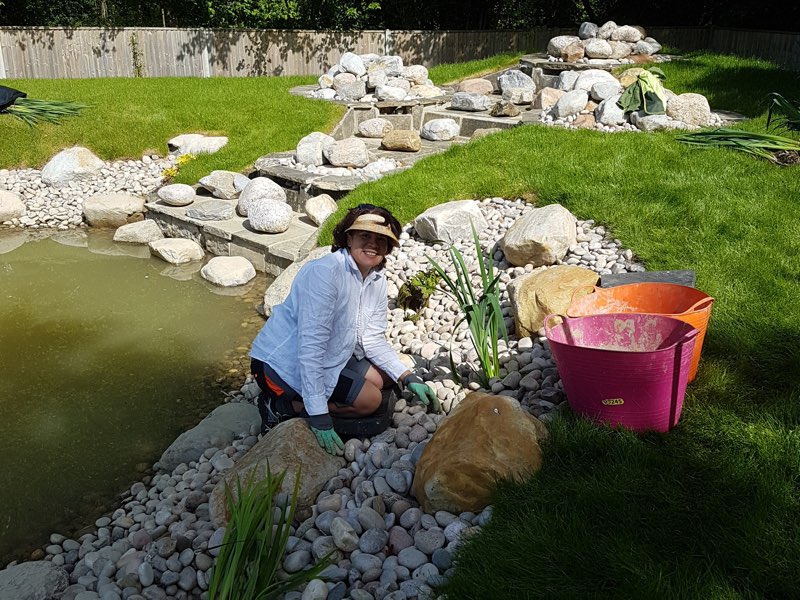  Planting new pond 