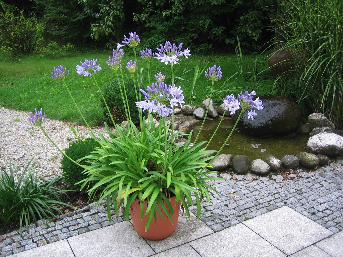Littlehampton_water_feature